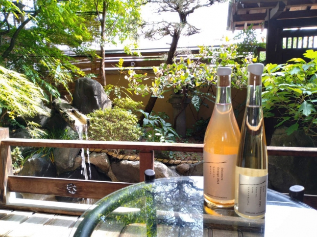 NEW!!　ワインのご案内🍷