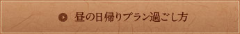 昼の日帰りプラン過ごし方