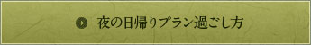 夜の日帰りプラン過ごし方