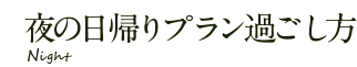 夜の日帰りプランの過ごし方