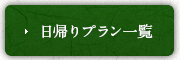 日帰りプラン一覧